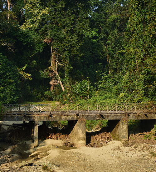 Gorumara Wildlife Sanctuary