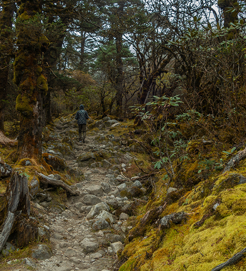 Singalila National Park