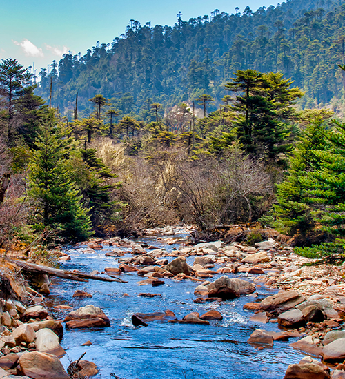 Jigme Dorji National Park